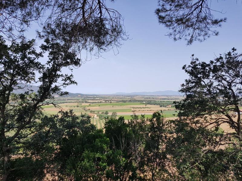 Poggio Alto Agrioturismo Βίλα Γκροσέτο Εξωτερικό φωτογραφία