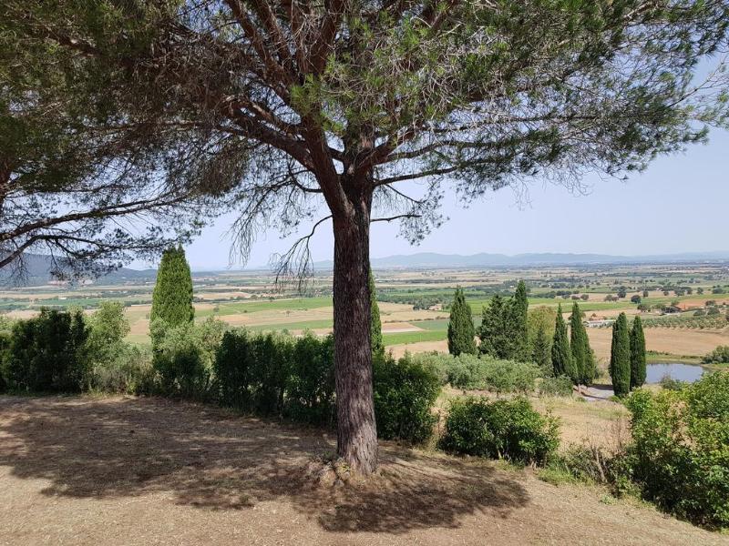 Poggio Alto Agrioturismo Βίλα Γκροσέτο Εξωτερικό φωτογραφία